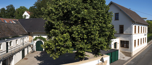 Ein Grund zum Feiern: Weingut Pieroth im Vinum Magazin