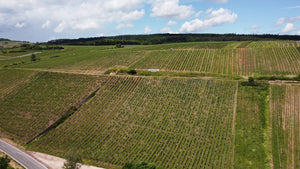 350 Jahre Pieroth – immer noch Trendsetter im Weingenuss