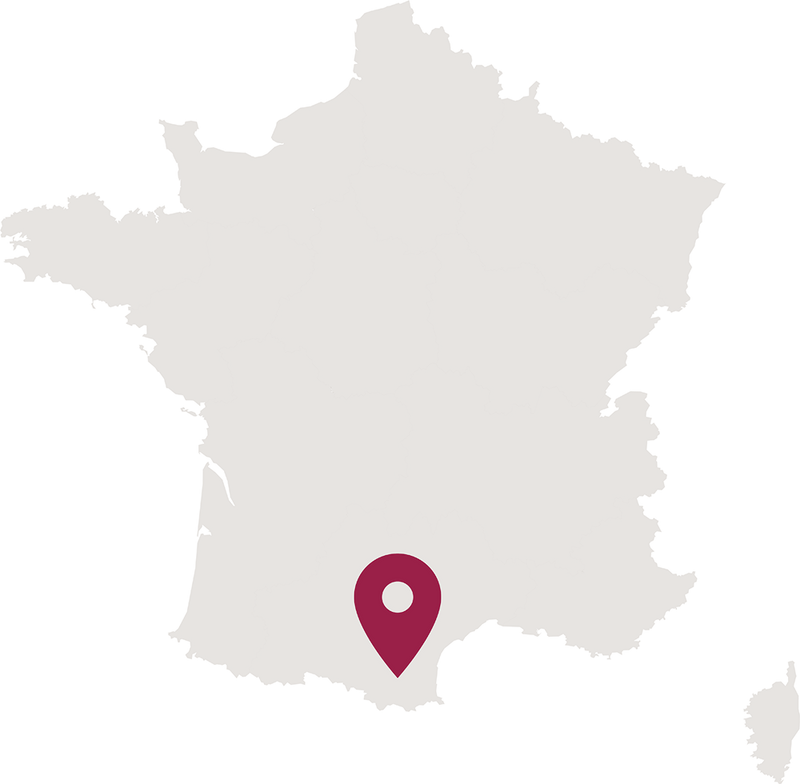 Comté Tolosan